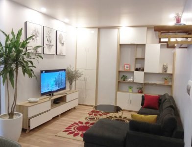 P.H Center Hưng Yên hình ảnh căn hộ thực tế